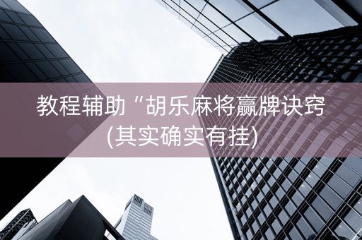 教程辅助“胡乐麻将赢牌诀窍(其实确实有挂)