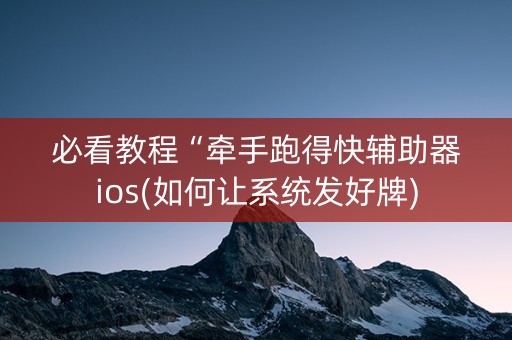 必看教程“牵手跑得快辅助器ios(如何让系统发好牌)