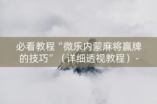 必看教程“微乐内蒙麻将赢牌的技巧”（详细透视教程）-哔哩哔哩
