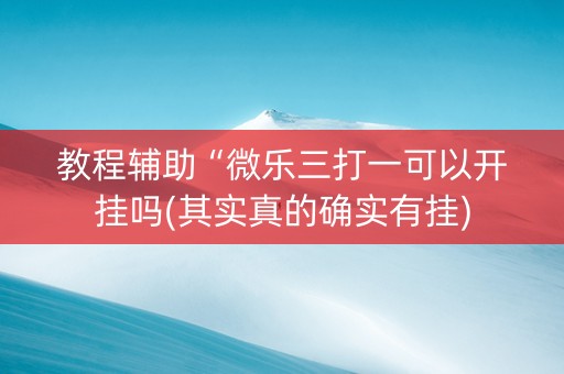 教程辅助“微乐三打一可以开挂吗(其实真的确实有挂)