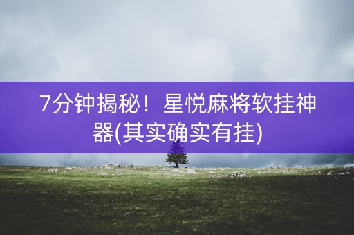 7分钟揭秘！星悦麻将软挂神器(其实确实有挂)