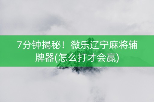 7分钟揭秘！微乐辽宁麻将辅牌器(怎么打才会赢)