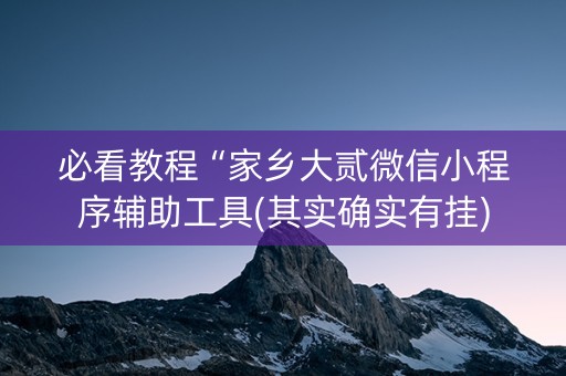 必看教程“家乡大贰微信小程序辅助工具(其实确实有挂)