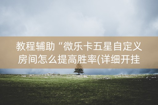 教程辅助“微乐卡五星自定义房间怎么提高胜率(详细开挂教程)