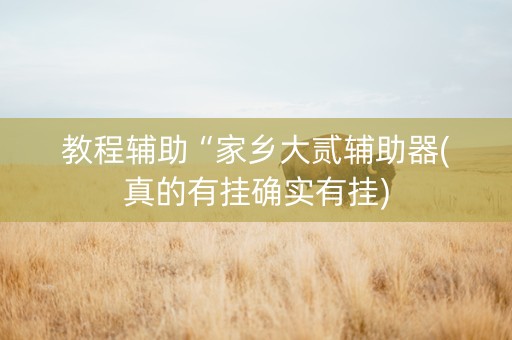 教程辅助“家乡大贰辅助器(真的有挂确实有挂)