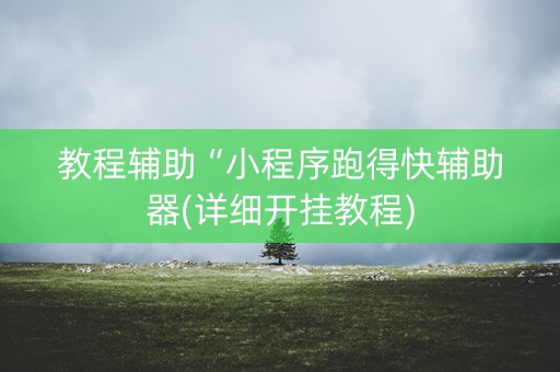 教程辅助“小程序跑得快辅助器(详细开挂教程)