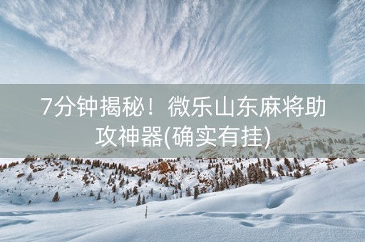 7分钟揭秘！微乐山东麻将助攻神器(确实有挂)