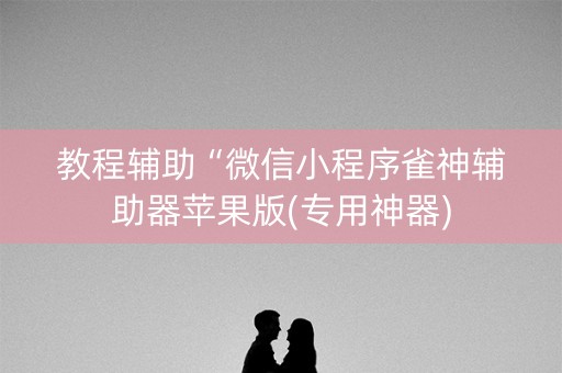 教程辅助“微信小程序雀神辅助器苹果版(专用神器)