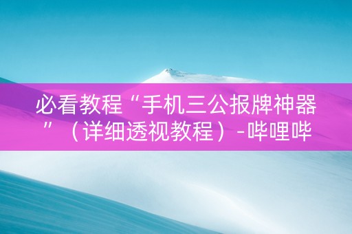 必看教程“手机三公报牌神器”（详细透视教程）-哔哩哔哩