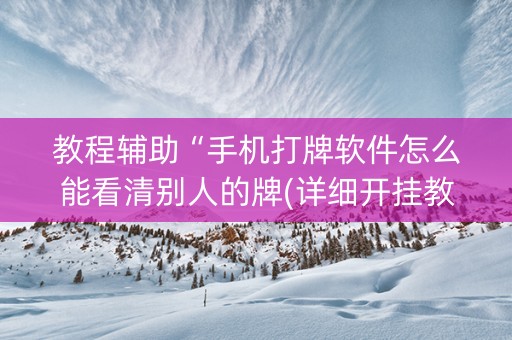 教程辅助“手机打牌软件怎么能看清别人的牌(详细开挂教程)