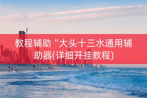 教程辅助“大头十三水通用辅助器(详细开挂教程)