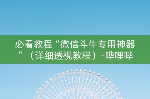 必看教程“微信斗牛专用神器”（详细透视教程）-哔哩哔哩