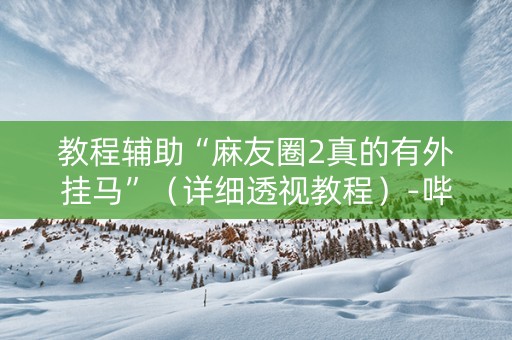 教程辅助“麻友圈2真的有外挂马”（详细透视教程）-哔哩哔哩