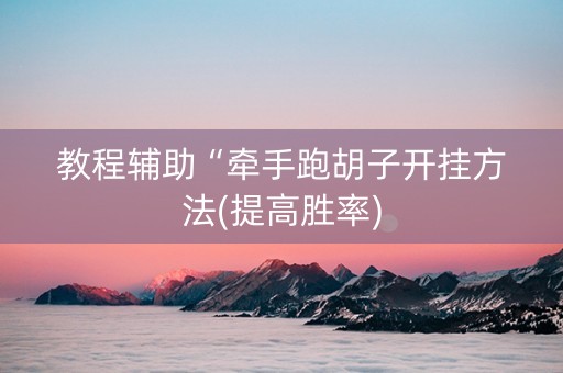 教程辅助“牵手跑胡子开挂方法(提高胜率)