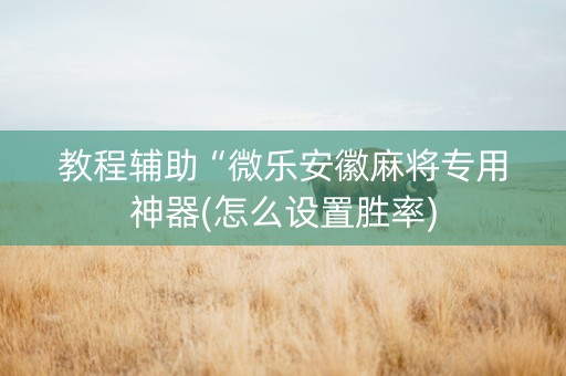 教程辅助“微乐安徽麻将专用神器(怎么设置胜率)