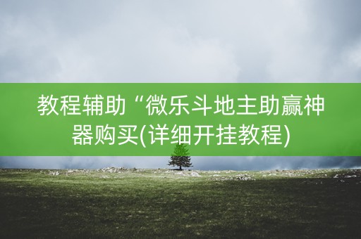 教程辅助“微乐斗地主助赢神器购买(详细开挂教程)