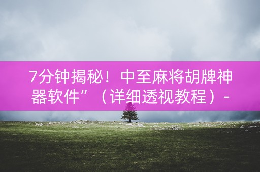 7分钟揭秘！中至麻将胡牌神器软件”（详细透视教程）-哔哩哔哩