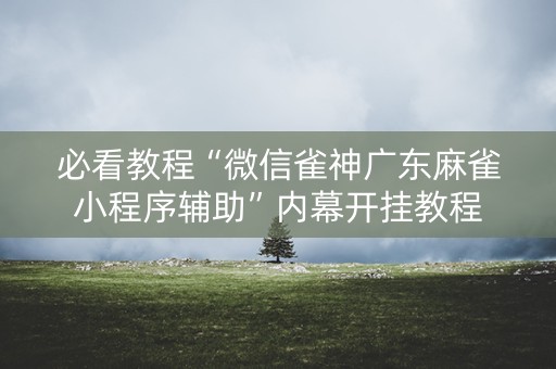 必看教程“微信雀神广东麻雀小程序辅助”内幕开挂教程