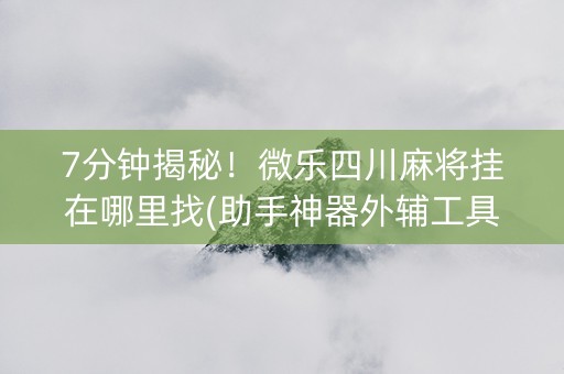 7分钟揭秘！微乐四川麻将挂在哪里找(助手神器外辅工具)