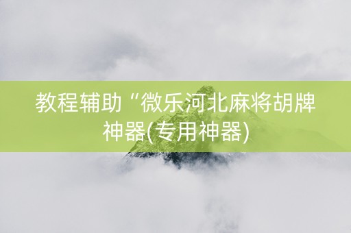 教程辅助“微乐河北麻将胡牌神器(专用神器)
