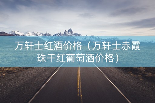 万轩士红酒价格（万轩士赤霞珠干红葡萄酒价格）