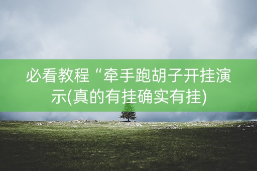 必看教程“牵手跑胡子开挂演示(真的有挂确实有挂)
