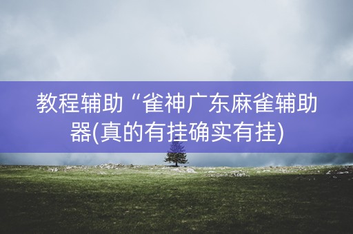 教程辅助“雀神广东麻雀辅助器(真的有挂确实有挂)