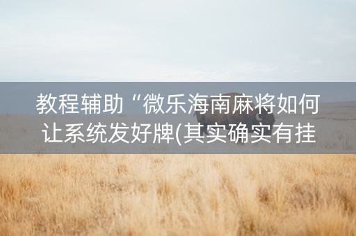教程辅助“微乐海南麻将如何让系统发好牌(其实确实有挂)