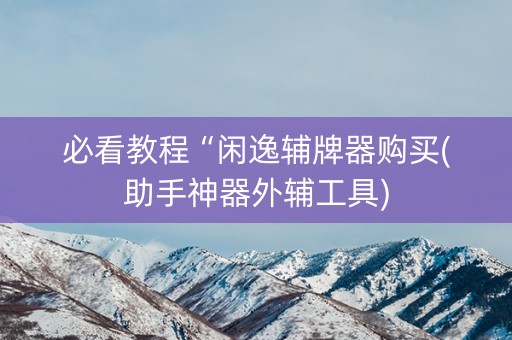 必看教程“闲逸辅牌器购买(助手神器外辅工具)