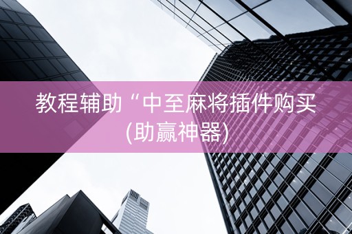 教程辅助“中至麻将插件购买(助赢神器)