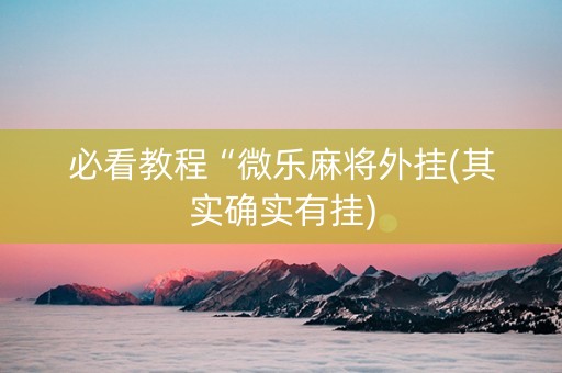 必看教程“微乐麻将外挂(其实确实有挂)