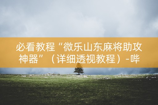 必看教程“微乐山东麻将助攻神器”（详细透视教程）-哔哩哔哩