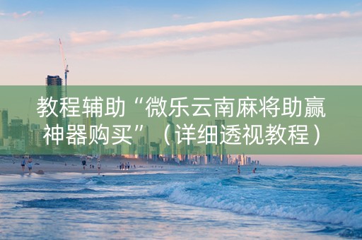 教程辅助“微乐云南麻将助赢神器购买”（详细透视教程）-哔哩哔哩