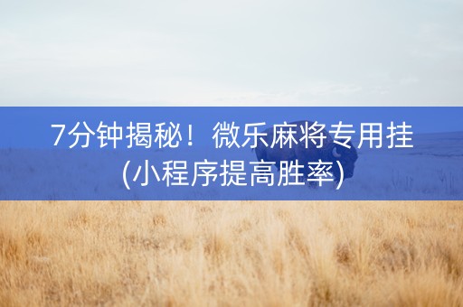 7分钟揭秘！微乐麻将专用挂(小程序提高胜率)