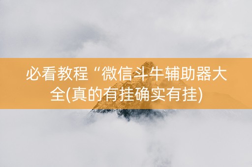 必看教程“微信斗牛辅助器大全(真的有挂确实有挂)