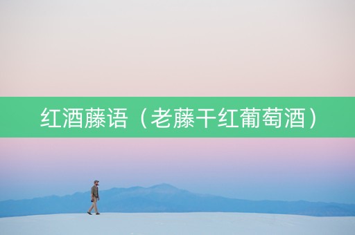 红酒藤语（老藤干红葡萄酒）