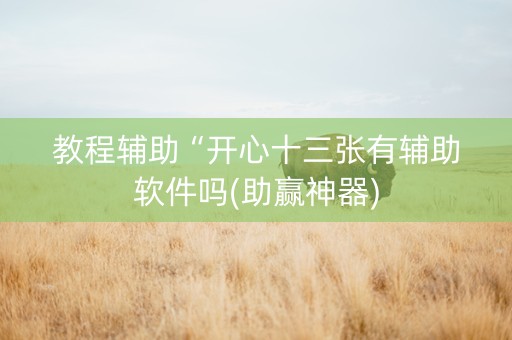 教程辅助“开心十三张有辅助软件吗(助赢神器)