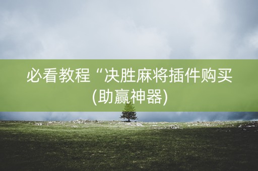 必看教程“决胜麻将插件购买(助赢神器)