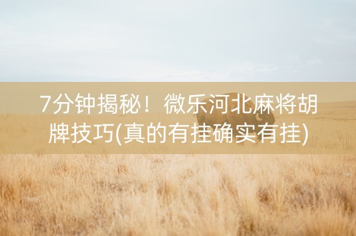 7分钟揭秘！微乐河北麻将胡牌技巧(真的有挂确实有挂)