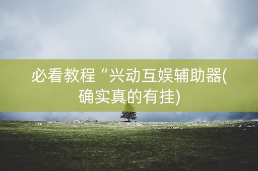 必看教程“兴动互娱辅助器(确实真的有挂)