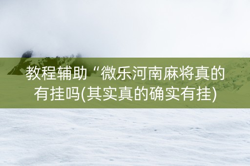 教程辅助“微乐河南麻将真的有挂吗(其实真的确实有挂)