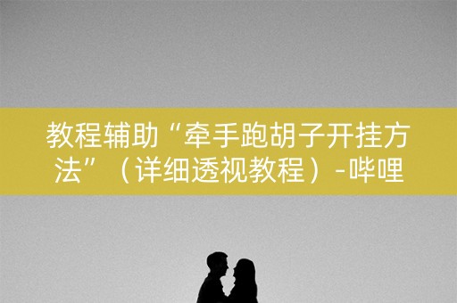 教程辅助“牵手跑胡子开挂方法”（详细透视教程）-哔哩哔哩