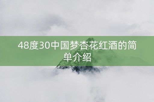 48度30中国梦杏花红酒的简单介绍