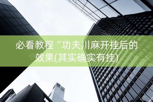 必看教程“功夫川麻开挂后的效果(其实确实有挂)
