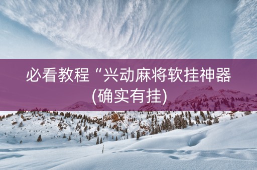 必看教程“兴动麻将软挂神器(确实有挂)