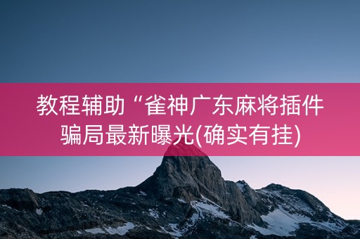 教程辅助“雀神广东麻将插件骗局最新曝光(确实有挂)