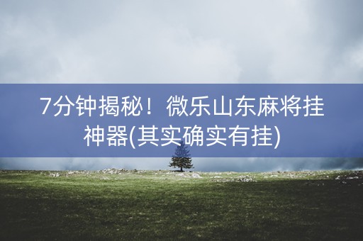 7分钟揭秘！微乐山东麻将挂神器(其实确实有挂)