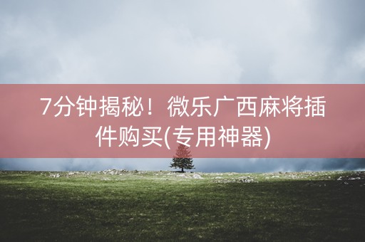 7分钟揭秘！微乐广西麻将插件购买(专用神器)