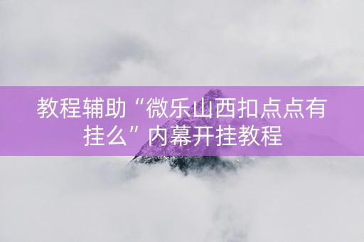 教程辅助“微乐山西扣点点有挂么”内幕开挂教程