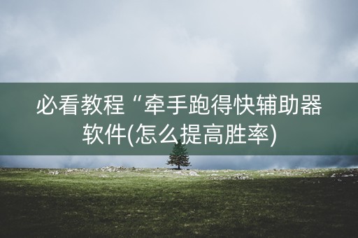 必看教程“牵手跑得快辅助器软件(怎么提高胜率)
